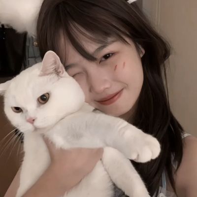 bob综合在线体育