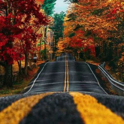 南宫ng28官方网站最新版