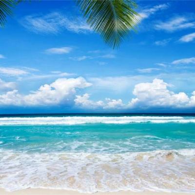 5848vip威尼斯电子游戏下载手机版