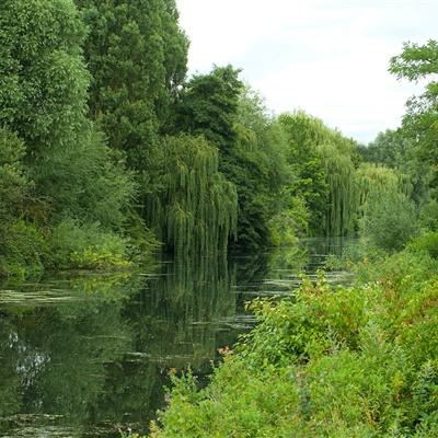 南宫ng28官方网站最新版