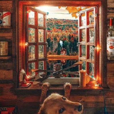 万博体育苹果下载