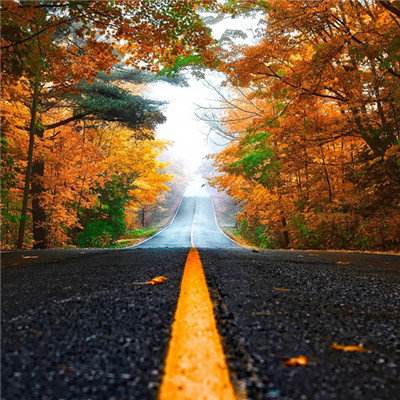 斗牛游戏大厅手机app下载