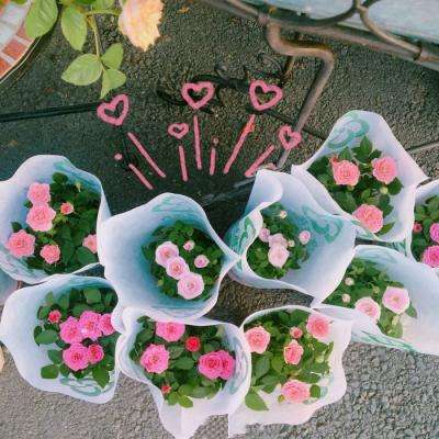 鸭脖app下载app下载