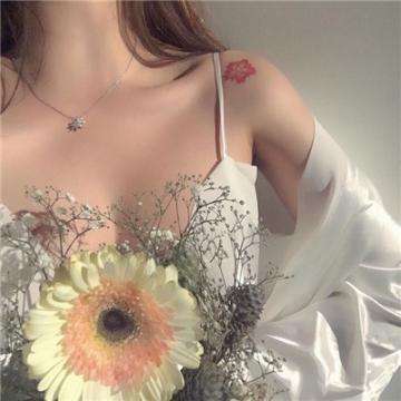 BB贝博平台登录app下载手机版